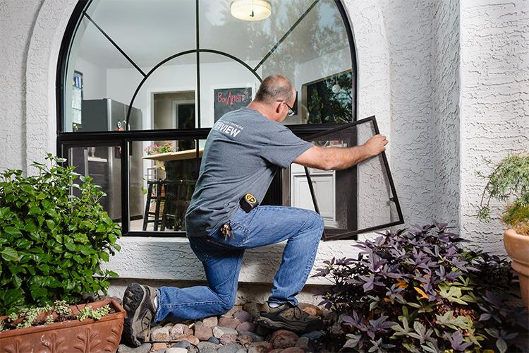 Replacement Windows